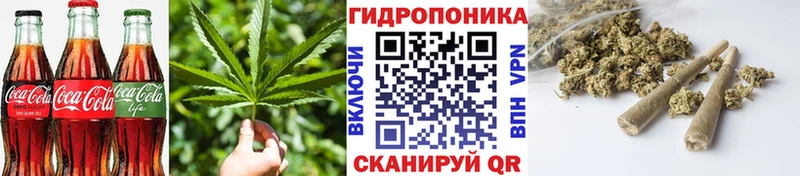 Еда ТГК марихуана Кирс