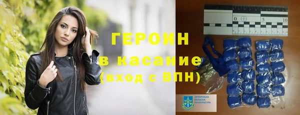 шишки Белокуриха