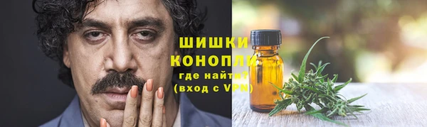 тгк Богородск