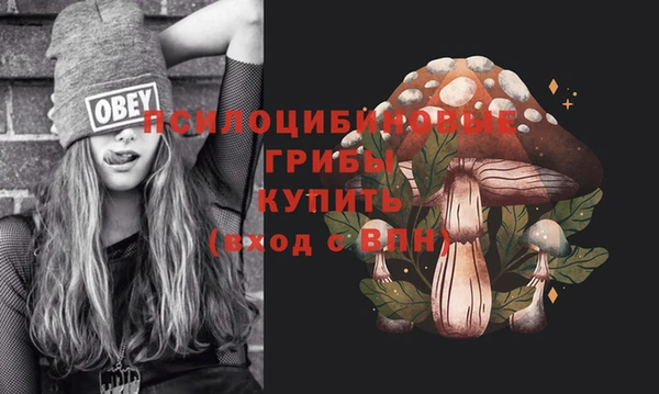 тгк Богородск